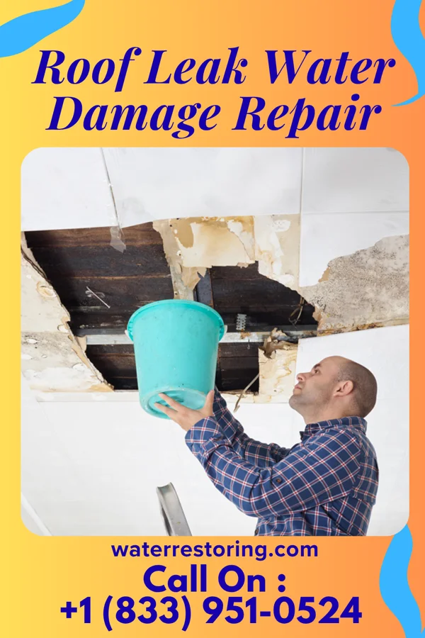 Roof Leak Water Damage Repair in Tontitown, AR